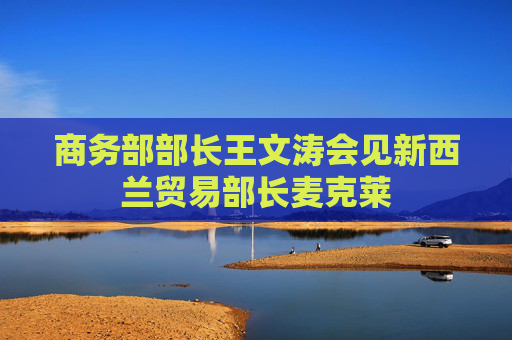 商务部部长王文涛会见新西兰贸易部长麦克莱