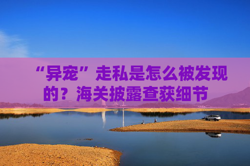 “异宠”走私是怎么被发现的？海关披露查获细节