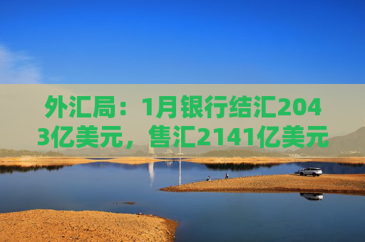 外汇局：1月银行结汇2043亿美元，售汇2141亿美元