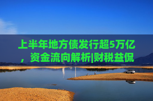 上半年地方债发行超5万亿，资金流向解析|财税益侃