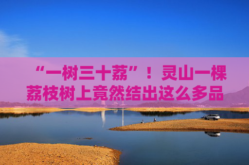 “一树三十荔”！灵山一棵荔枝树上竟然结出这么多品种