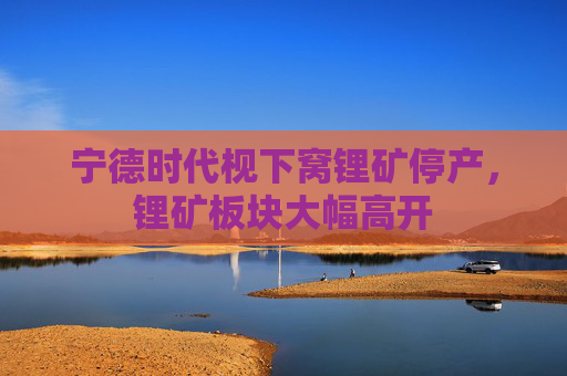 宁德时代枧下窝锂矿停产，锂矿板块大幅高开