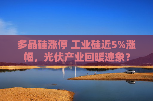 多晶硅涨停 工业硅近5%涨幅，光伏产业回暖迹象？