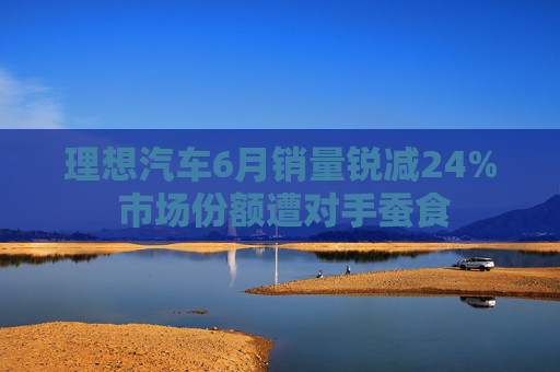 理想汽车6月销量锐减24% 市场份额遭对手蚕食