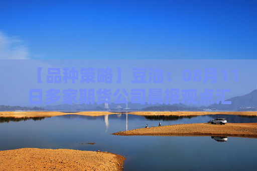 【品种策略】豆油：08月11日多家期货公司晨报观点汇总