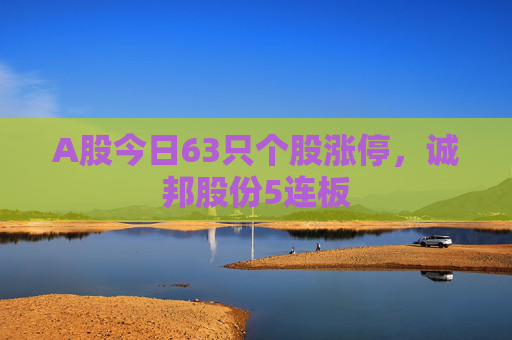 A股今日63只个股涨停，诚邦股份5连板