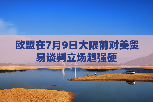 欧盟在7月9日大限前对美贸易谈判立场趋强硬
