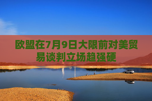欧盟在7月9日大限前对美贸易谈判立场趋强硬