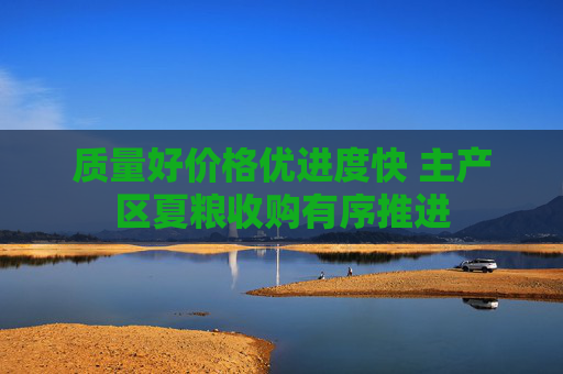 质量好价格优进度快 主产区夏粮收购有序推进