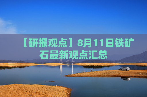 【研报观点】8月11日铁矿石最新观点汇总