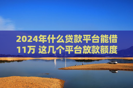 2024年什么贷款平台能借11万 这几个平台放款额度高