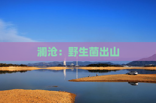 澜沧：野生菌出山