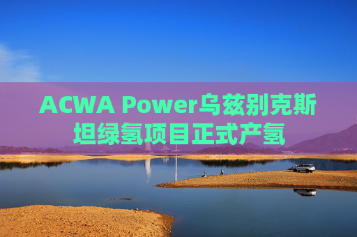 ACWA Power乌兹别克斯坦绿氢项目正式产氢