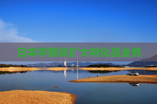 日本宇部欲扩大特化品业务