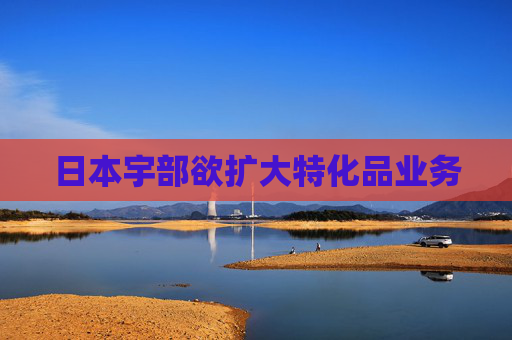日本宇部欲扩大特化品业务