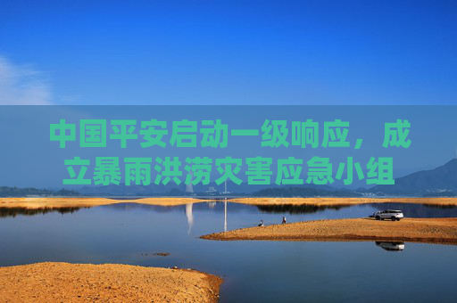 中国平安启动一级响应，成立暴雨洪涝灾害应急小组