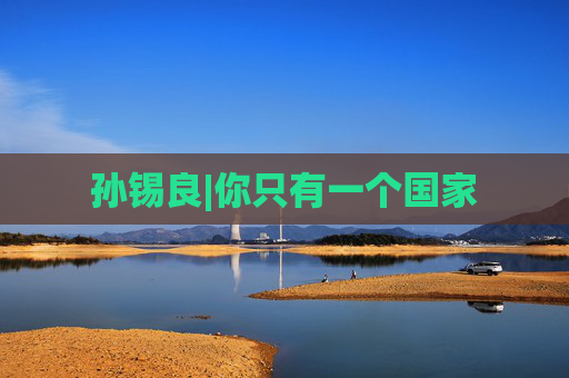 孙锡良|你只有一个国家