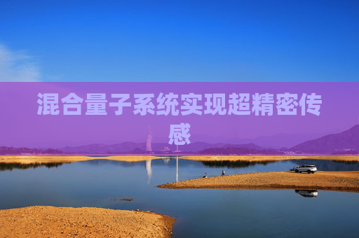 混合量子系统实现超精密传感