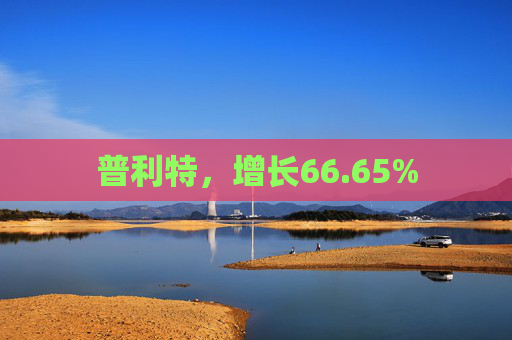 普利特，增长66.65%