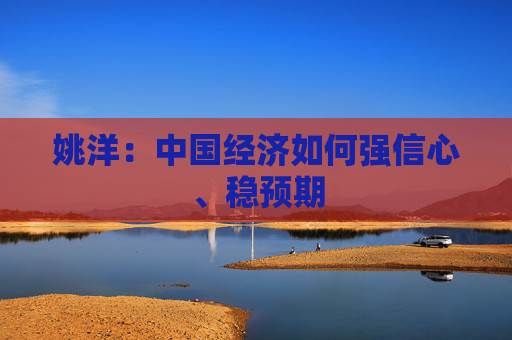 姚洋：中国经济如何强信心、稳预期