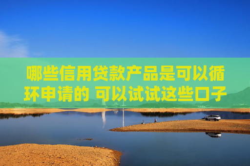 哪些信用贷款产品是可以循环申请的 可以试试这些口子