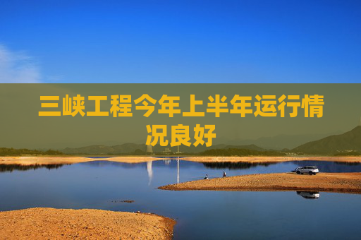 三峡工程今年上半年运行情况良好