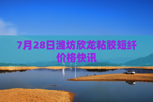 7月28日潍坊欣龙粘胶短纤价格快讯