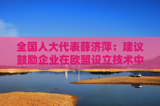全国人大代表薛济萍：建议鼓励企业在欧盟设立技术中心、研发机构