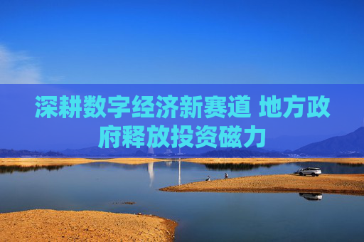 深耕数字经济新赛道 地方政府释放投资磁力