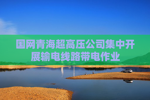 国网青海超高压公司集中开展输电线路带电作业