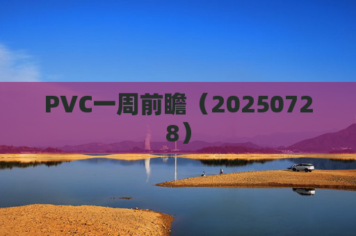 PVC一周前瞻（20250728）