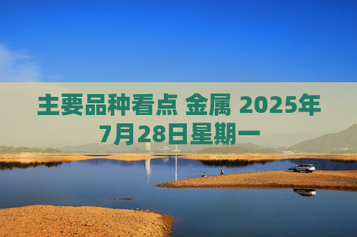 主要品种看点 金属 2025年7月28日星期一
