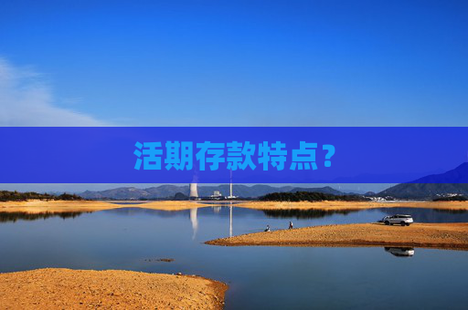 活期存款特点？