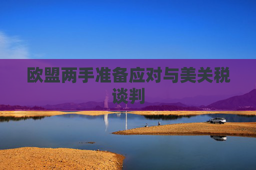 欧盟两手准备应对与美关税谈判