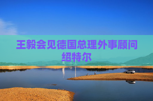 王毅会见德国总理外事顾问绍特尔