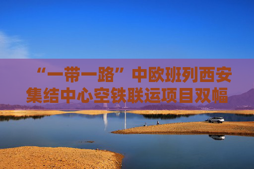 “一带一路”中欧班列西安集结中心空铁联运项目双幅桥成功跨线转体