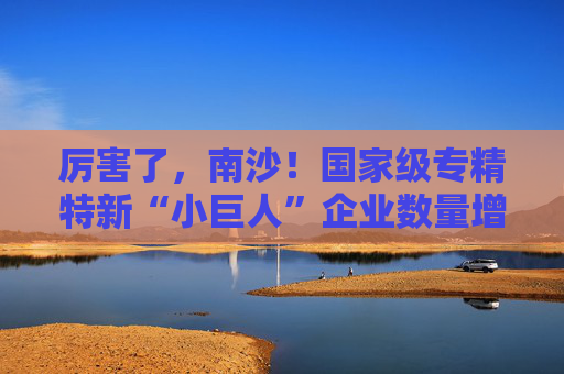 厉害了，南沙！国家级专精特新“小巨人”企业数量增长近11倍