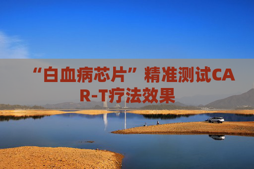 “白血病芯片”精准测试CAR-T疗法效果