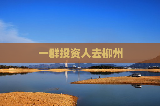 一群投资人去柳州