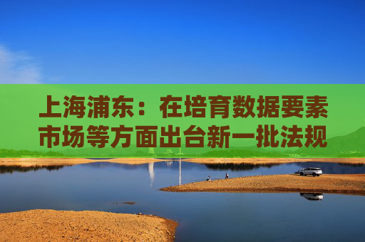 上海浦东：在培育数据要素市场等方面出台新一批法规和管理措施