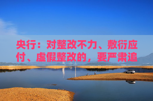 央行：对整改不力、敷衍应付、虚假整改的，要严肃追责问责