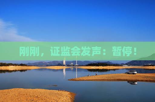 刚刚，证监会发声：暂停！
