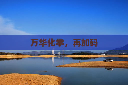 万华化学，再加码