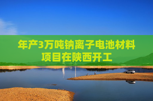 年产3万吨钠离子电池材料项目在陕西开工