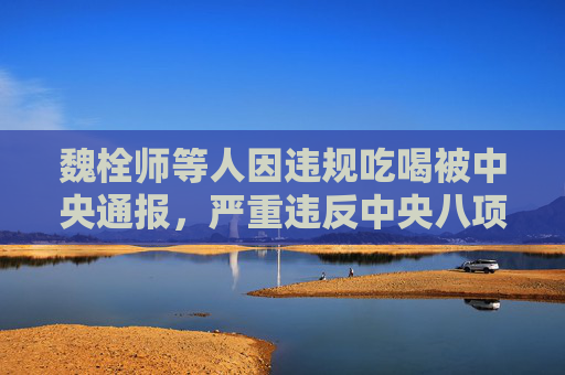 魏栓师等人因违规吃喝被中央通报，严重违反中央八项规定精神