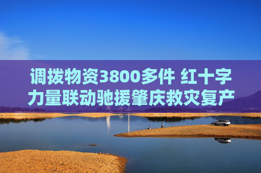 调拨物资3800多件 红十字力量联动驰援肇庆救灾复产