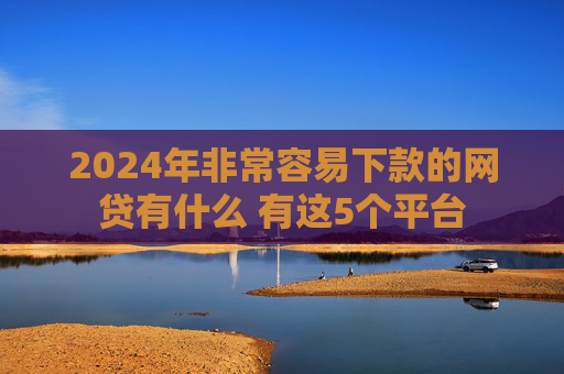 2024年非常容易下款的网贷有什么 有这5个平台
