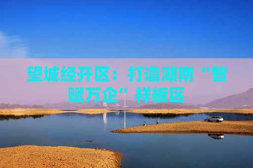 望城经开区：打造湖南“智赋万企”样板区