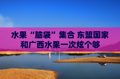 水果“脑袋”集合 东盟国家和广西水果一次炫个够