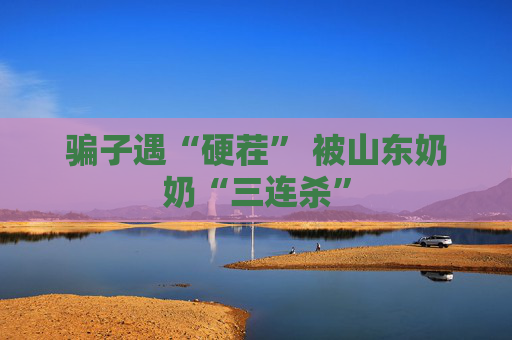 骗子遇“硬茬” 被山东奶奶“三连杀”